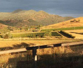 Optimiste Wines - Accommodation Great Ocean Road 0