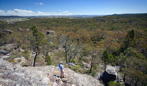 Munghorn Gap Nature Reserve - Accommodation Great Ocean Road 1