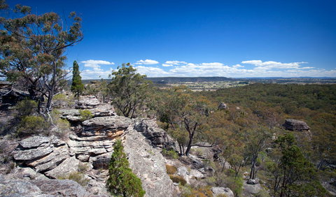 Munghorn Gap Nature Reserve - Accommodation Great Ocean Road 0