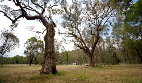 Munghorn Gap Nature Reserve - Accommodation Great Ocean Road 3