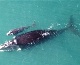 Fazshot Photography - Accommodation Great Ocean Road 0