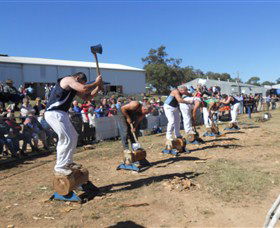 Quirindi Rural Heritage Village - Accommodation Great Ocean Road 1
