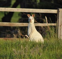 Panorama Garden Estate - Accommodation Great Ocean Road