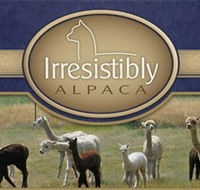 Marchmont Park Alpacas - Accommodation Great Ocean Road