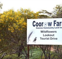 Coorow Farm Wildflower Trail - Accommodation Great Ocean Road