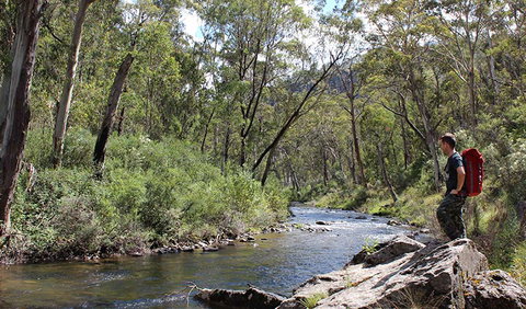 Yarrangobilly Caves - Accommodation Great Ocean Road 1