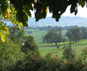 Brandy Creek Wines & View Cafe - Accommodation Great Ocean Road 5