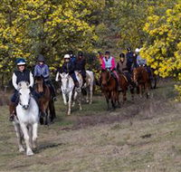 Burnelee Excursions on Horseback - Accommodation Great Ocean Road