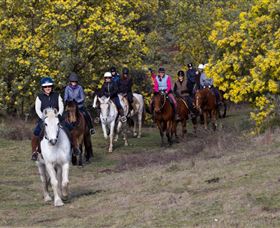 Burnelee Excursions On Horseback - Accommodation Great Ocean Road 0