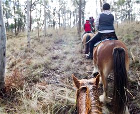 Burnelee Excursions On Horseback - Accommodation Great Ocean Road 1