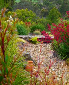Ungulla Country Garden - Accommodation Great Ocean Road 1