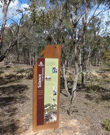 Mulligans Flat - Accommodation Great Ocean Road 1