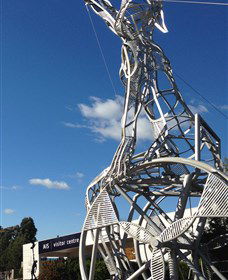 Australian Institute Of Sport (AIS) - Accommodation Great Ocean Road 0