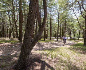 The National Arboretum Canberra - Accommodation Great Ocean Road 3