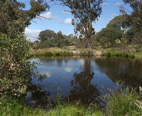 Cooleman Ridge - Accommodation Great Ocean Road 0