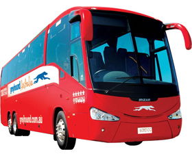 Greyhound Australia - Accommodation Great Ocean Road 0