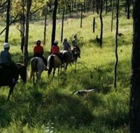 Hunter Valley Horse Riding and Adventures - Accommodation Great Ocean Road