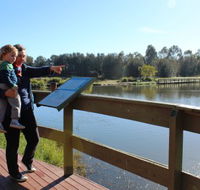 Hunter Wetlands Centre Australia - Accommodation Great Ocean Road