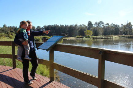 Hunter Wetlands Centre Australia - Accommodation Great Ocean Road 0