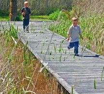 Hunter Wetlands Centre Australia - Accommodation Great Ocean Road 1
