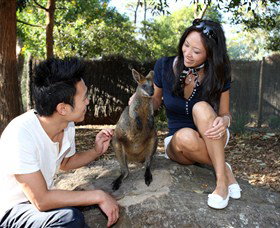 VIP Aussie Gold - Accommodation Great Ocean Road 0