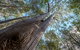 Wallumatta Nature Reserve - thumb 3