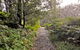 Riverside Walking Track - thumb 1