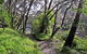 Riverside Walking Track - thumb 2