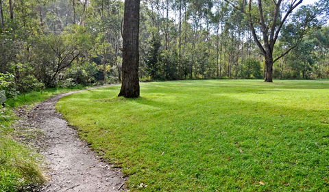 Riverside Walking Track - Accommodation Great Ocean Road 3