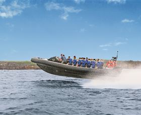 Manly Ocean Adventures - Accommodation Great Ocean Road 2