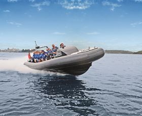 Manly Ocean Adventures - Accommodation Great Ocean Road 1