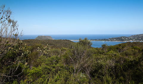 Aboriginal Heritage Walk - Accommodation Great Ocean Road 1