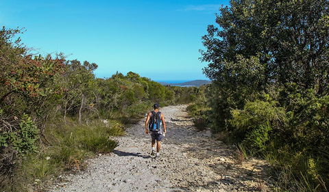 Aboriginal Heritage Walk - Accommodation Great Ocean Road 3