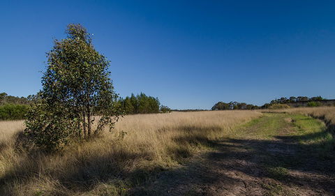 Scheyville Horse Riding Trails - Accommodation Great Ocean Road 0