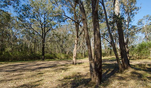 Scheyville Horse Riding Trails - Accommodation Great Ocean Road 1