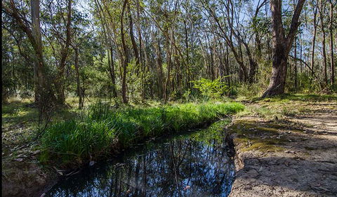 Scheyville Horse Riding Trails - Accommodation Great Ocean Road 2