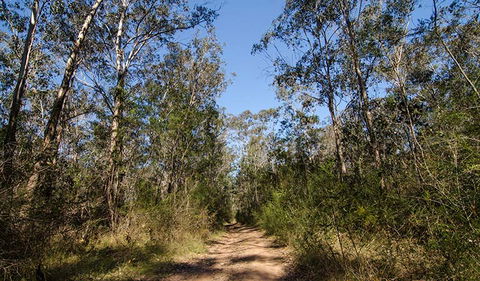 Scheyville Horse Riding Trails - Accommodation Great Ocean Road 3
