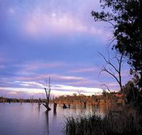 Loch Luna Game Reserve and Moorook Game Reserve - Accommodation Great Ocean Road