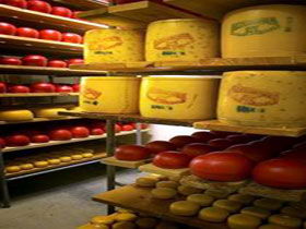 Alexandrina Cheese Company - Accommodation Great Ocean Road 0