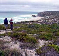 Murray Lagoon - Cape Gantheaume Conservation Park - Accommodation Great Ocean Road