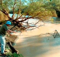 Charleville - Ward River Fishing Spot - Accommodation Great Ocean Road