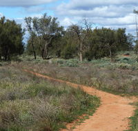 Grasslands Nature trail - Accommodation Great Ocean Road