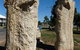 Fossilised Forrest Sculptures - thumb 0