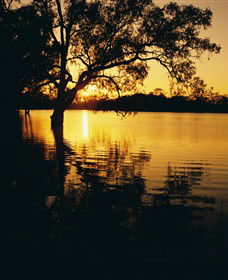 Hattah-Kulkyne National Park - Accommodation Great Ocean Road 0