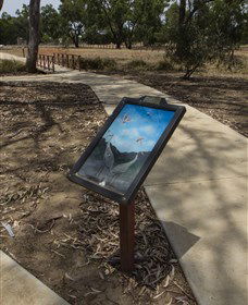 Wallam Creek, Bollon - Accommodation Great Ocean Road 1