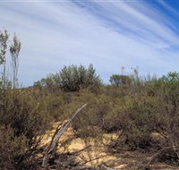 Wyperfeld National Park - Accommodation Great Ocean Road