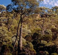 Ka Ka Mundi Carnarvon National Park - Accommodation Great Ocean Road