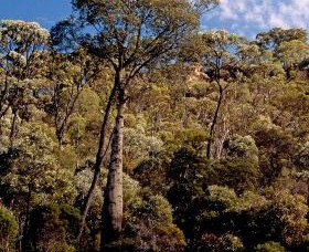 Ka Ka Mundi, Carnarvon National Park - Accommodation Great Ocean Road 0