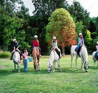 Limestone Coast Horseriding - Accommodation Great Ocean Road