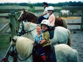 Limestone Coast Horseriding - Accommodation Great Ocean Road 1